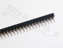 Header pins female 40 pins metal